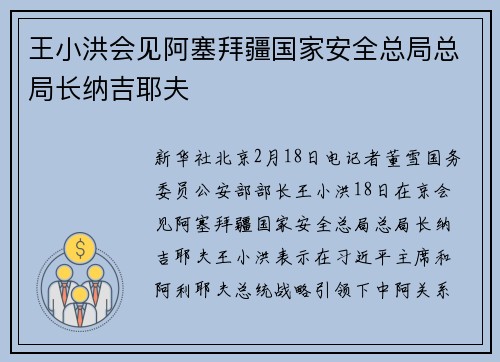 王小洪会见阿塞拜疆国家安全总局总局长纳吉耶夫