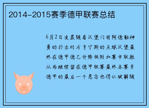 2014-2015赛季德甲联赛总结