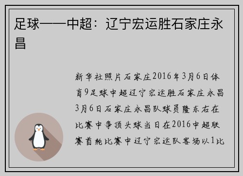 足球——中超：辽宁宏运胜石家庄永昌